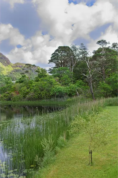 A landscape somewhere in County Galway